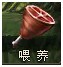 驯养飞龙